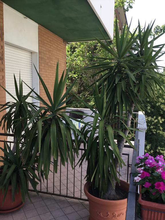 Hotel Mirella Римини Экстерьер фото